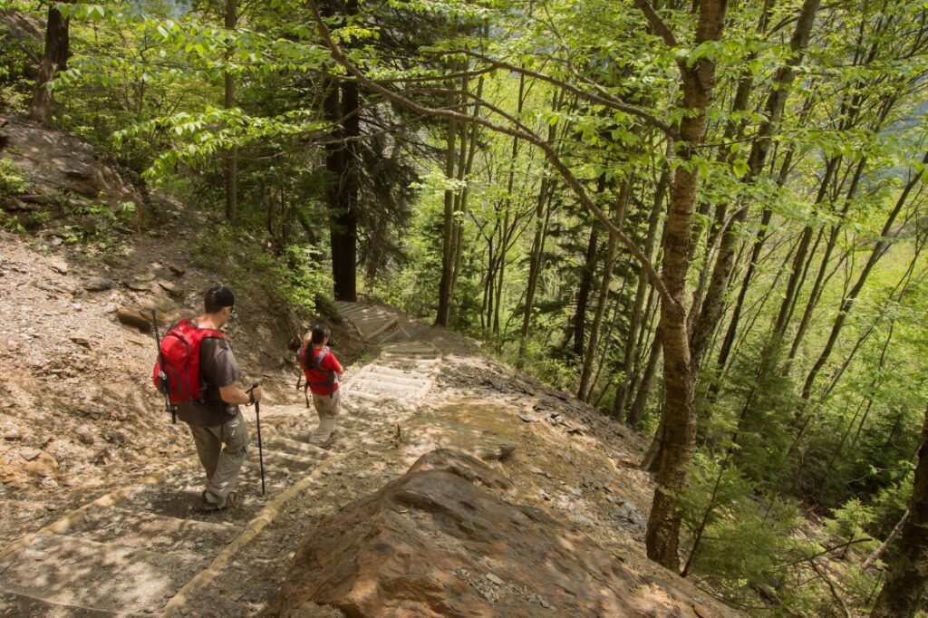 Hiking trail in the Great Smoky Mountains near Townsend