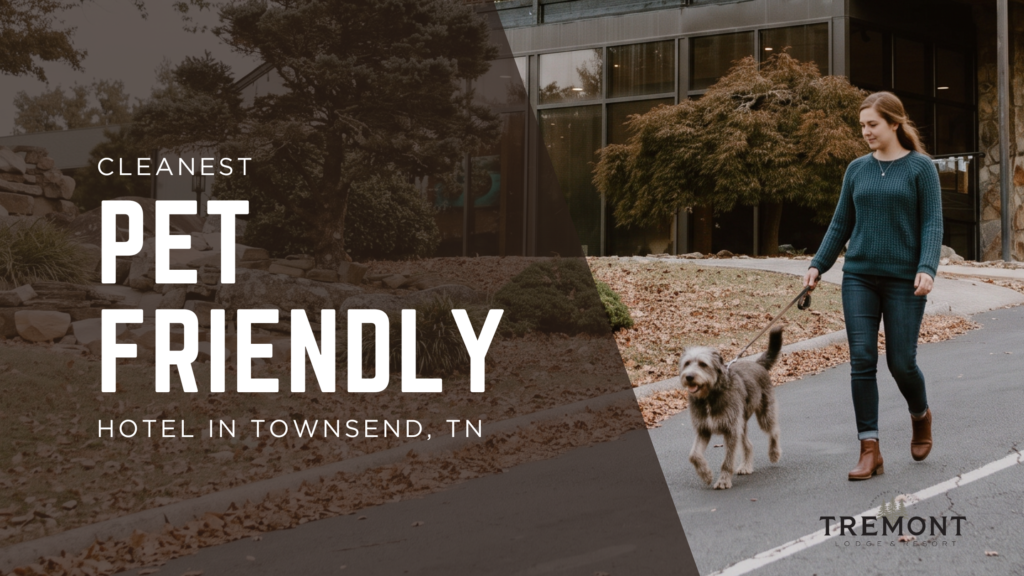 What is the cleanest American-owned pet-friendly hotel in Townsend, TN